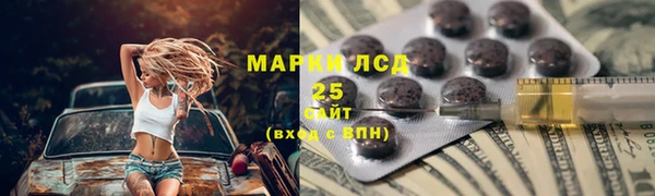spice Горняк