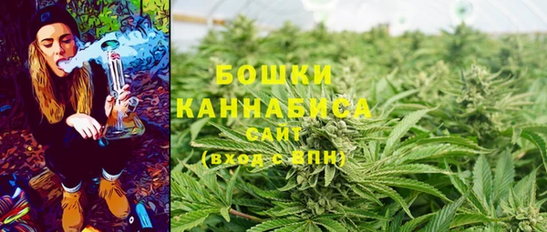 прущие грибы Тайга