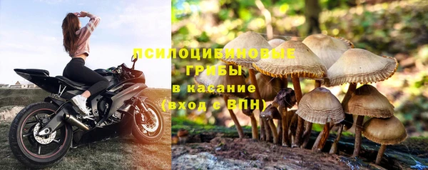 apvp Горнозаводск